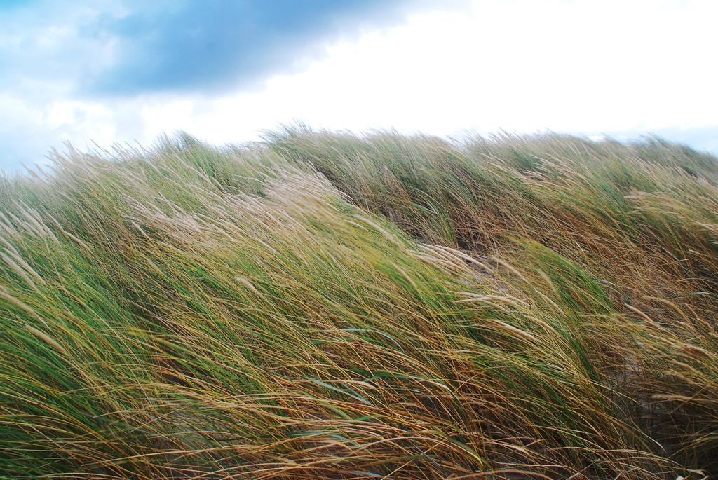 Dune Bep Schiermonnikoog Exterior photo