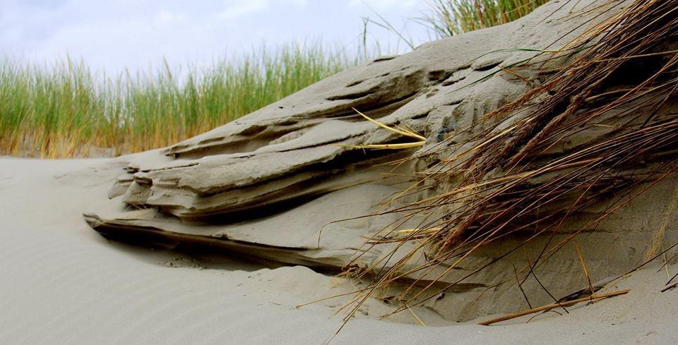 Dune Bep Schiermonnikoog Exterior photo